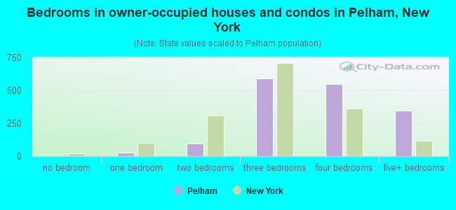 Bedrooms in owner-occupied houses and condos in Pelham, New York