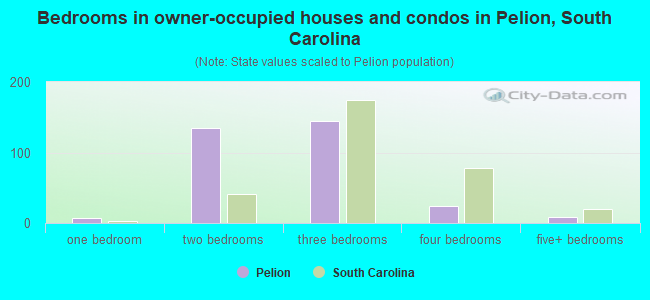 Bedrooms in owner-occupied houses and condos in Pelion, South Carolina
