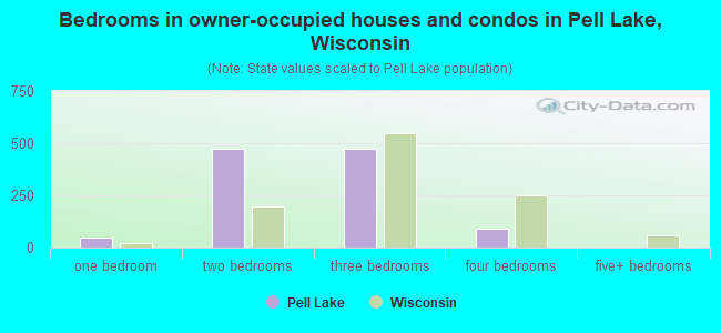 Bedrooms in owner-occupied houses and condos in Pell Lake, Wisconsin