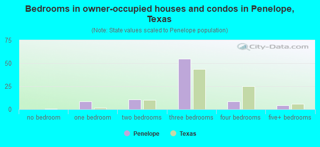 Bedrooms in owner-occupied houses and condos in Penelope, Texas
