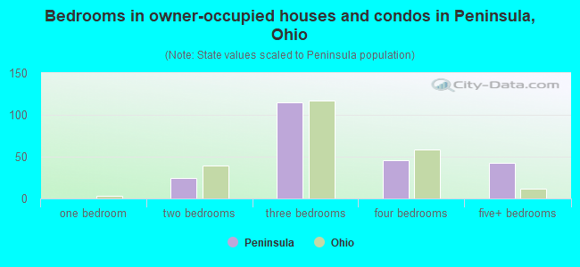 Bedrooms in owner-occupied houses and condos in Peninsula, Ohio