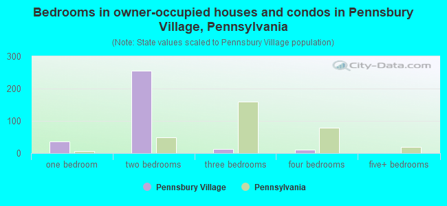 Bedrooms in owner-occupied houses and condos in Pennsbury Village, Pennsylvania