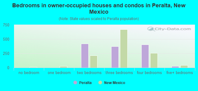 Bedrooms in owner-occupied houses and condos in Peralta, New Mexico