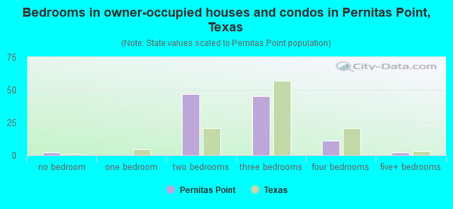 Bedrooms in owner-occupied houses and condos in Pernitas Point, Texas