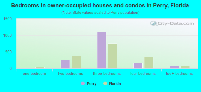 Bedrooms in owner-occupied houses and condos in Perry, Florida
