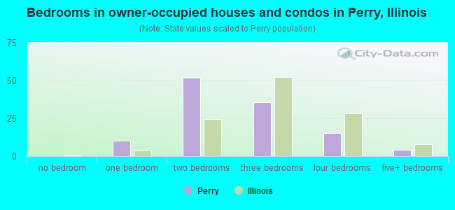 Bedrooms in owner-occupied houses and condos in Perry, Illinois