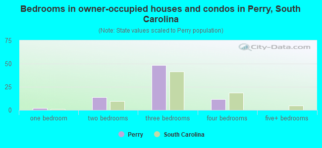 Bedrooms in owner-occupied houses and condos in Perry, South Carolina