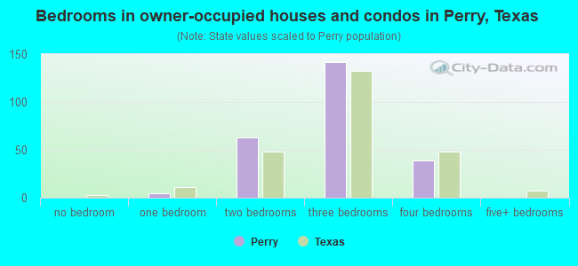 Bedrooms in owner-occupied houses and condos in Perry, Texas