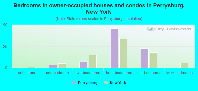 Bedrooms in owner-occupied houses and condos in Perrysburg, New York