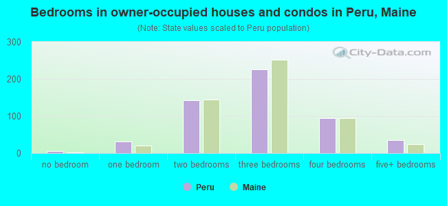 Bedrooms in owner-occupied houses and condos in Peru, Maine
