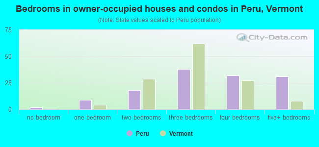 Bedrooms in owner-occupied houses and condos in Peru, Vermont