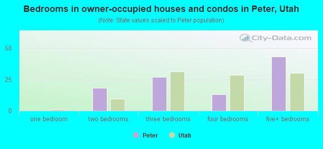 Bedrooms in owner-occupied houses and condos in Peter, Utah