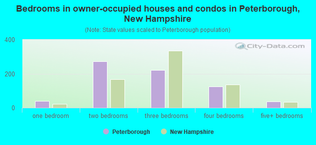 Bedrooms in owner-occupied houses and condos in Peterborough, New Hampshire