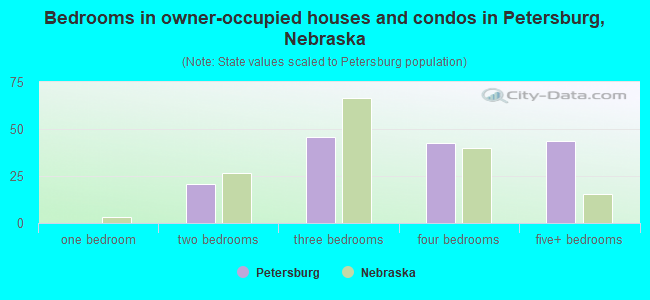 Bedrooms in owner-occupied houses and condos in Petersburg, Nebraska
