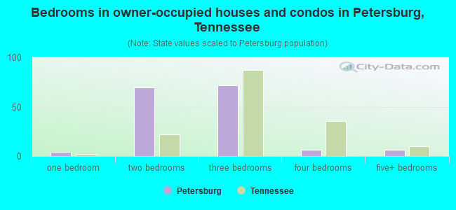 Bedrooms in owner-occupied houses and condos in Petersburg, Tennessee