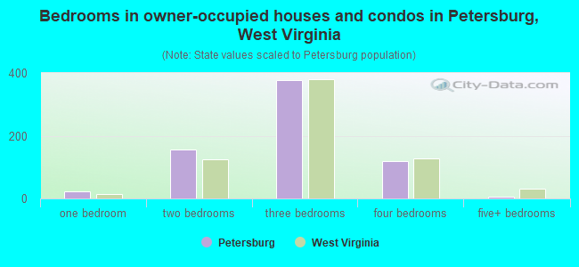 Bedrooms in owner-occupied houses and condos in Petersburg, West Virginia