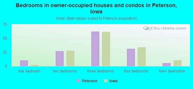 Bedrooms in owner-occupied houses and condos in Peterson, Iowa