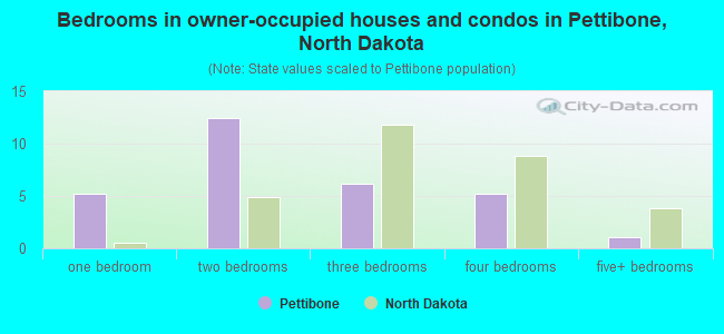 Bedrooms in owner-occupied houses and condos in Pettibone, North Dakota