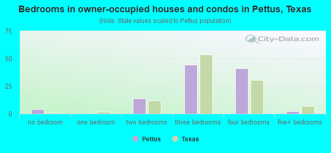 Bedrooms in owner-occupied houses and condos in Pettus, Texas