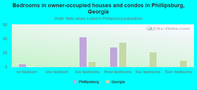Bedrooms in owner-occupied houses and condos in Phillipsburg, Georgia