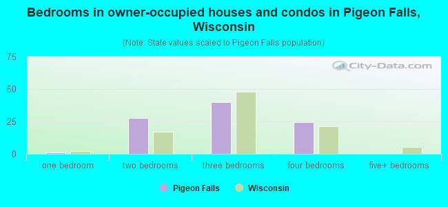 Bedrooms in owner-occupied houses and condos in Pigeon Falls, Wisconsin