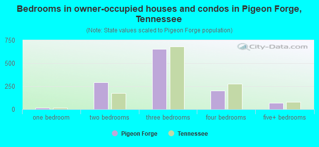 Bedrooms in owner-occupied houses and condos in Pigeon Forge, Tennessee