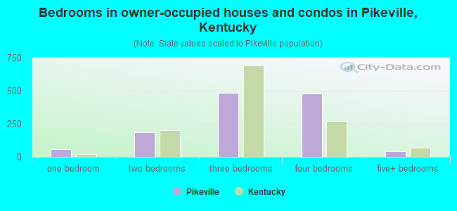 Bedrooms in owner-occupied houses and condos in Pikeville, Kentucky