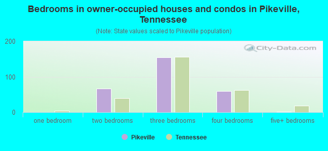 Bedrooms in owner-occupied houses and condos in Pikeville, Tennessee