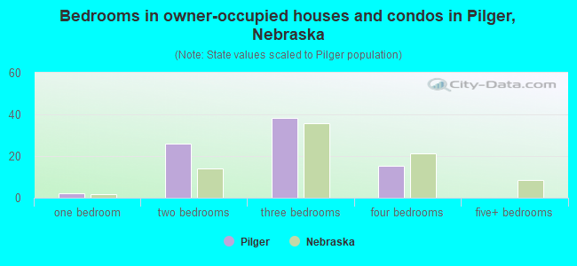 Bedrooms in owner-occupied houses and condos in Pilger, Nebraska