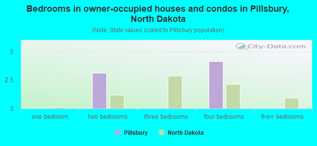 Bedrooms in owner-occupied houses and condos in Pillsbury, North Dakota