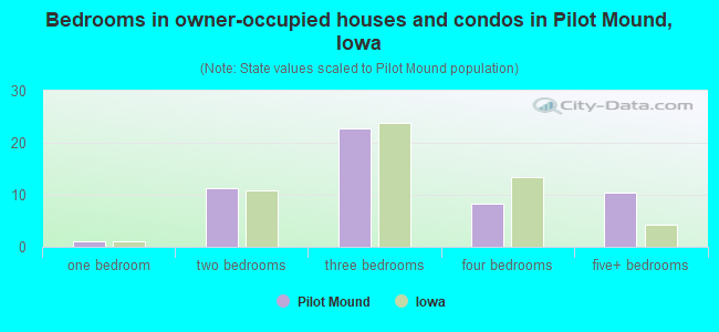 Bedrooms in owner-occupied houses and condos in Pilot Mound, Iowa
