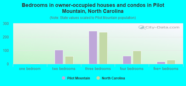 Bedrooms in owner-occupied houses and condos in Pilot Mountain, North Carolina