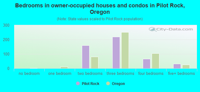 Bedrooms in owner-occupied houses and condos in Pilot Rock, Oregon