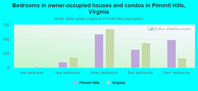 Bedrooms in owner-occupied houses and condos in Pimmit Hills, Virginia