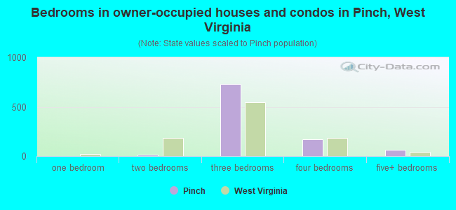 Bedrooms in owner-occupied houses and condos in Pinch, West Virginia