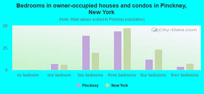 Bedrooms in owner-occupied houses and condos in Pinckney, New York