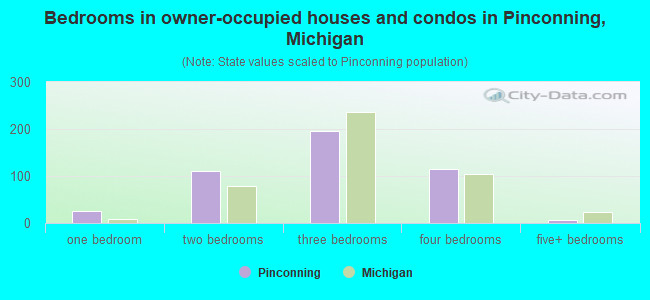 Bedrooms in owner-occupied houses and condos in Pinconning, Michigan