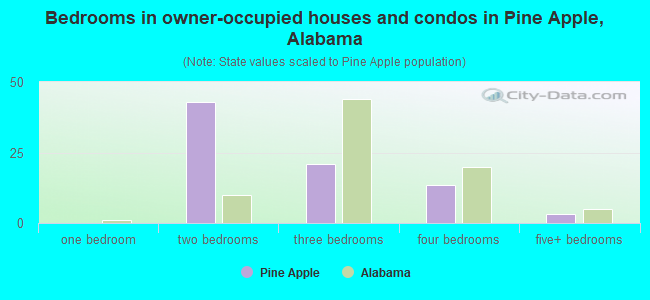 Bedrooms in owner-occupied houses and condos in Pine Apple, Alabama