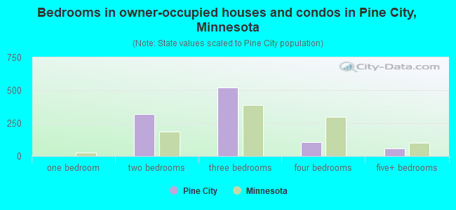 Bedrooms in owner-occupied houses and condos in Pine City, Minnesota