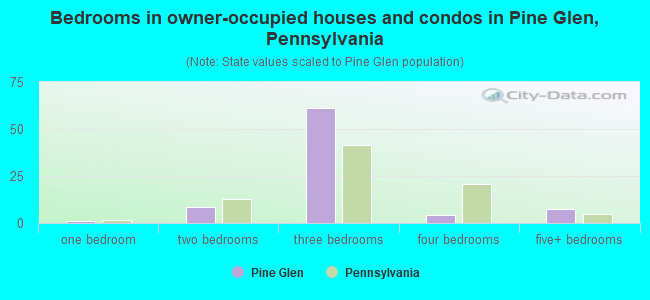 Bedrooms in owner-occupied houses and condos in Pine Glen, Pennsylvania