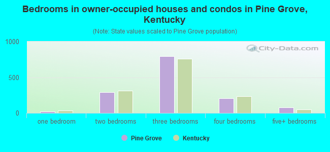 Bedrooms in owner-occupied houses and condos in Pine Grove, Kentucky