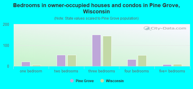 Bedrooms in owner-occupied houses and condos in Pine Grove, Wisconsin