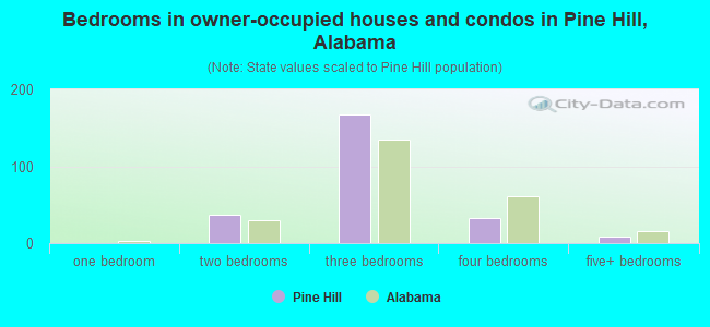 Bedrooms in owner-occupied houses and condos in Pine Hill, Alabama