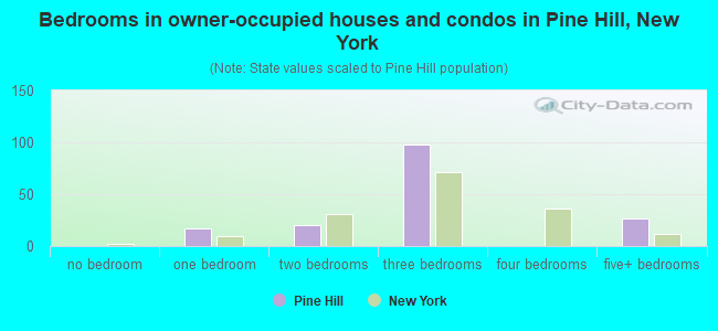 Bedrooms in owner-occupied houses and condos in Pine Hill, New York