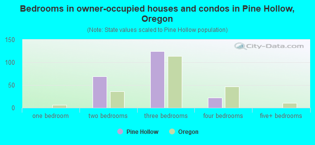 Bedrooms in owner-occupied houses and condos in Pine Hollow, Oregon