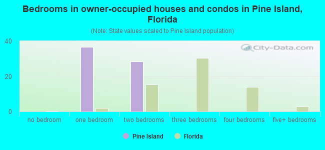Bedrooms in owner-occupied houses and condos in Pine Island, Florida