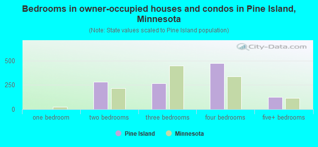 Bedrooms in owner-occupied houses and condos in Pine Island, Minnesota