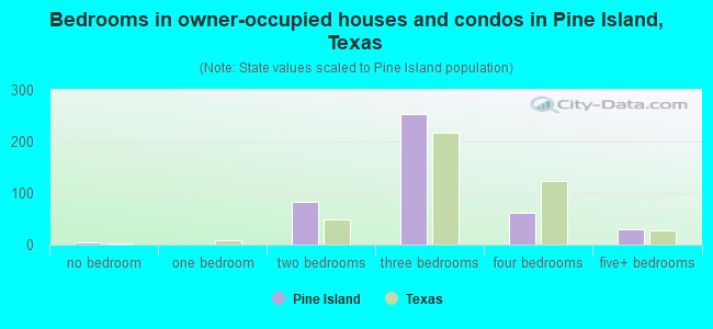 Bedrooms in owner-occupied houses and condos in Pine Island, Texas