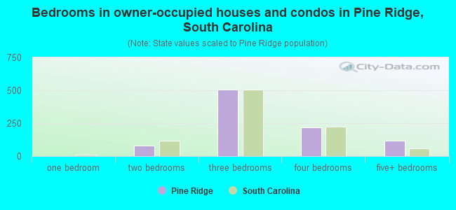 Bedrooms in owner-occupied houses and condos in Pine Ridge, South Carolina
