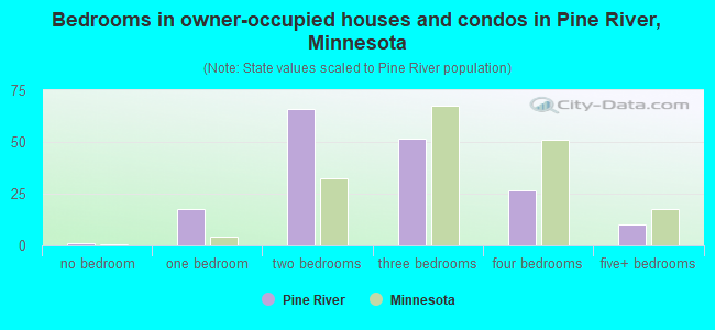 Bedrooms in owner-occupied houses and condos in Pine River, Minnesota